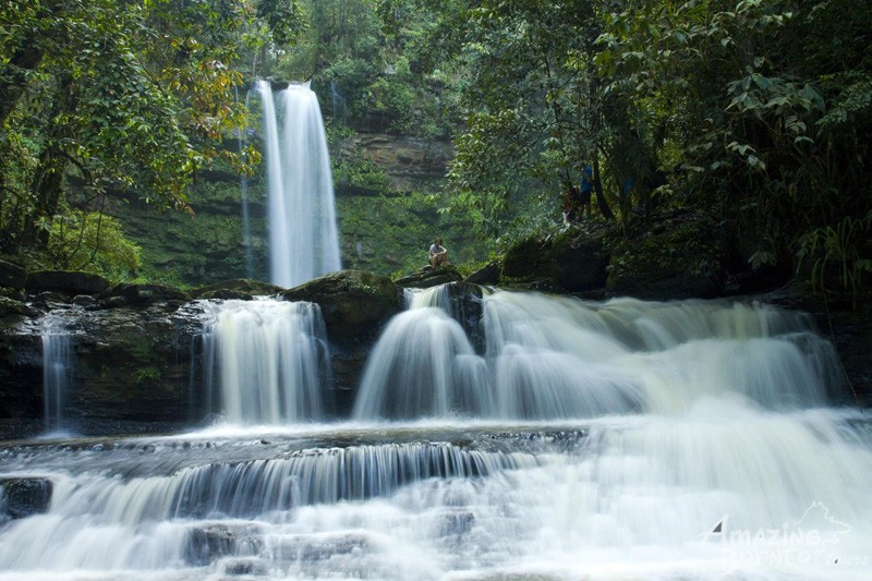 1_Ginseng-Fall_Maliau.jpg